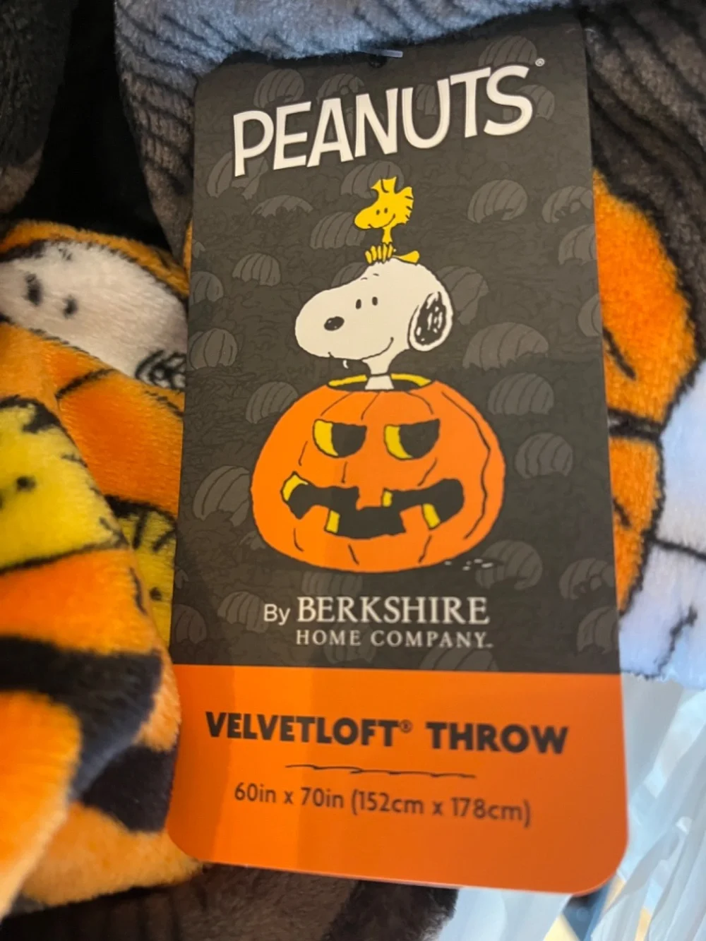 Brand new Halloween snoopy blanket